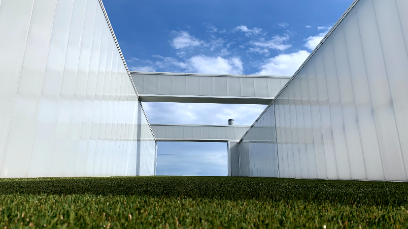 Cover photo of Artificial Lawn Specialist